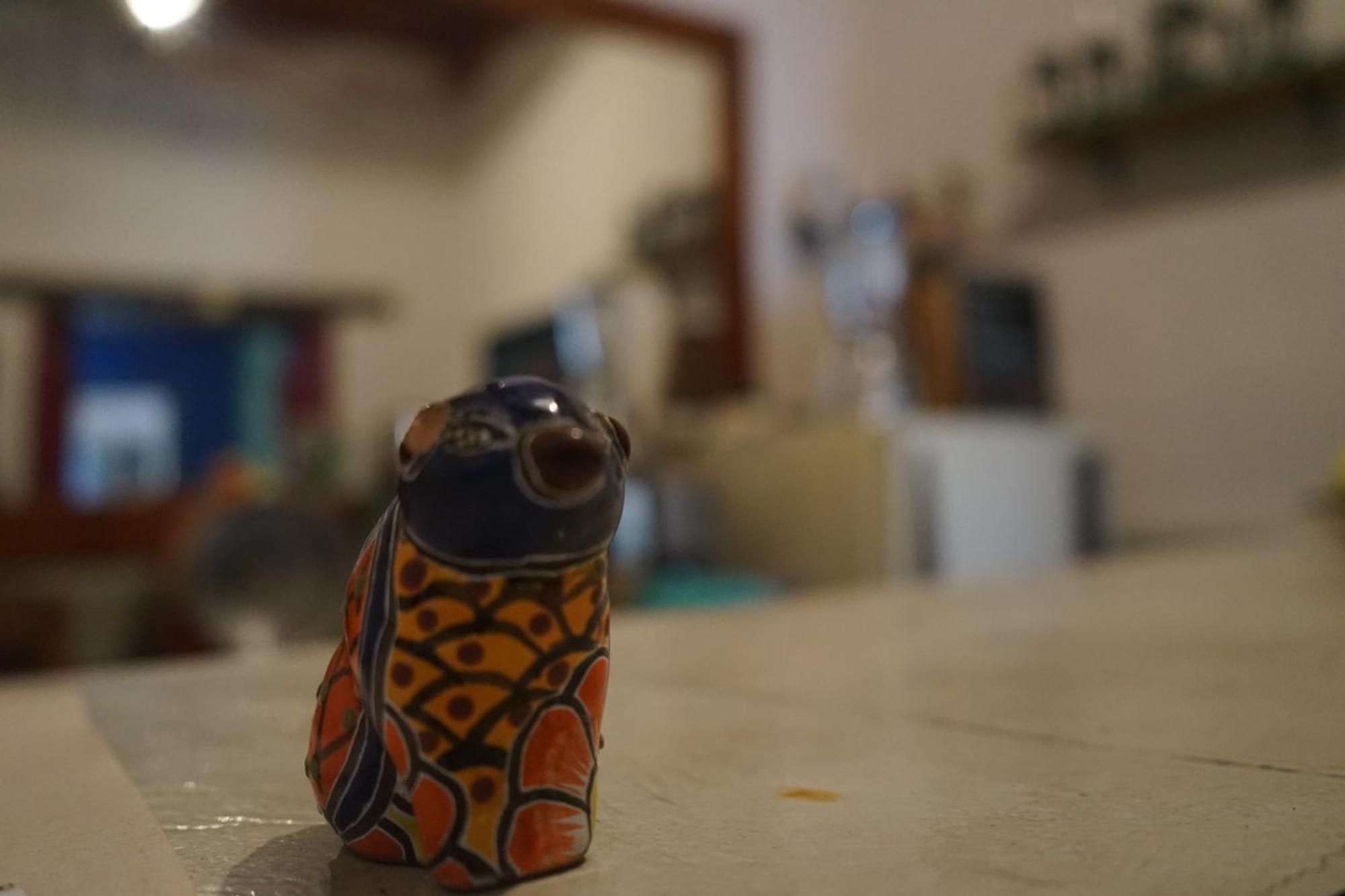 Hostalito Casa Alebrije 과나후아토 외부 사진